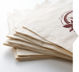 How to Fold Paper Christmas Napkins