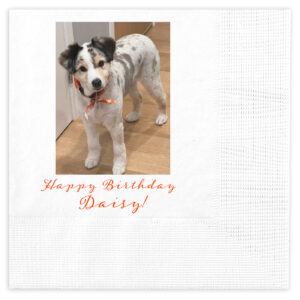 Personalized custom printed photo napkin pet napkins and coasters