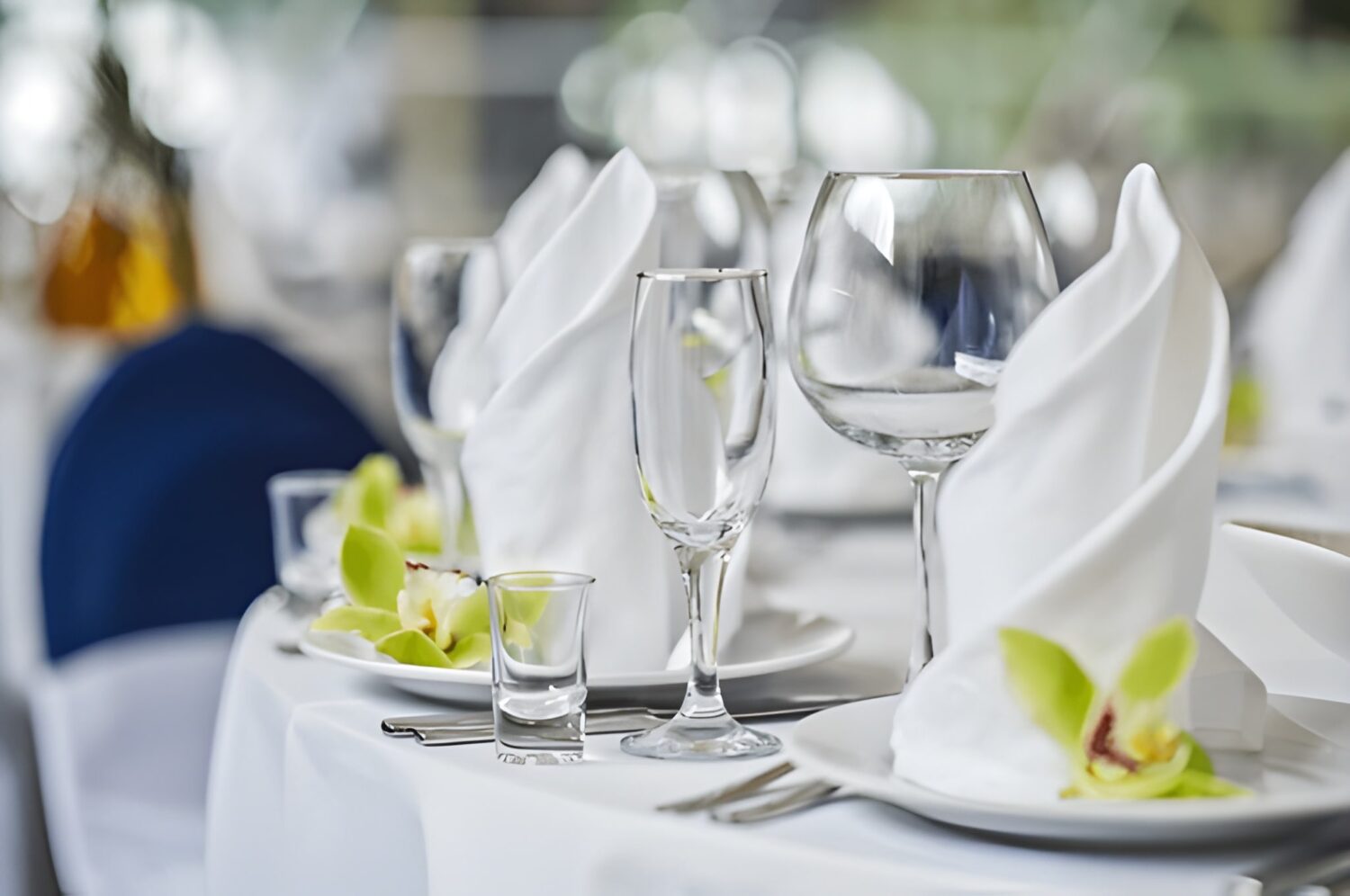 High-Quality Napkins For Your Restaurant