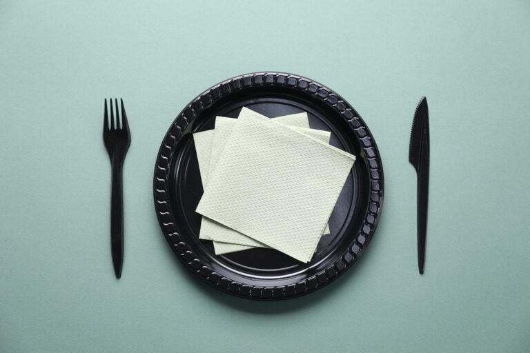 Disposable Napkins for Picnics